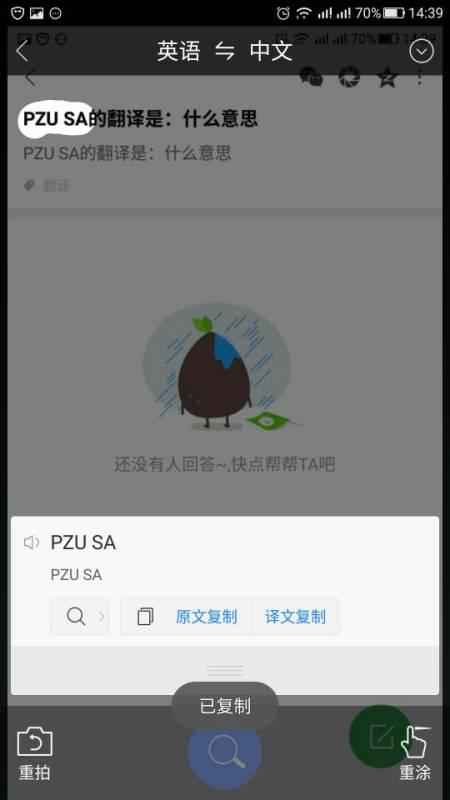 sa什么意思
