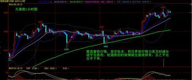 股票600开头是什么股
