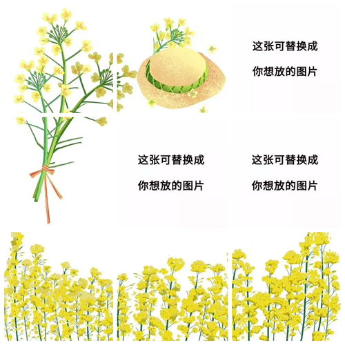 踏春的说说心情的句子朋友圈