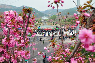圪僚沟村玉泉山森林公园
