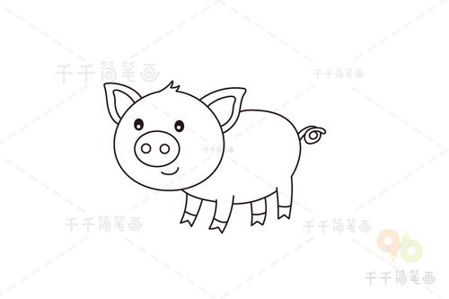 小猪的简笔画
