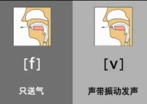 such是什么意思