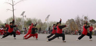 武术之乡
