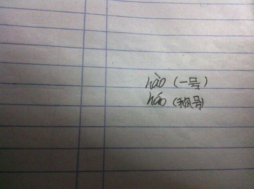 号多音字组词
