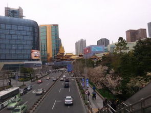 延安西路属于哪个区
