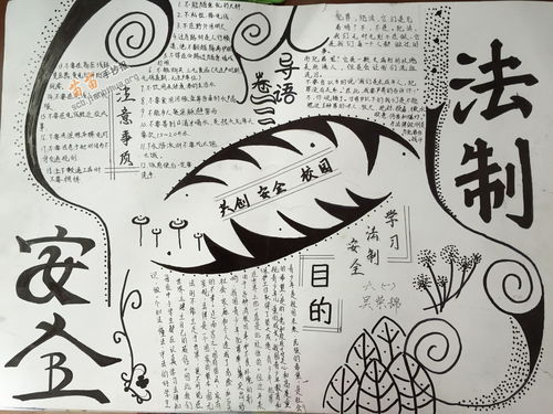小学生法制手抄报内容