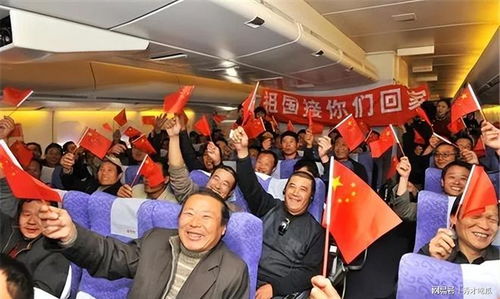 华侨的意思
