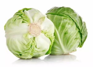 包心菜
