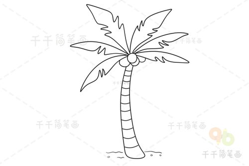 椰子树怎么画