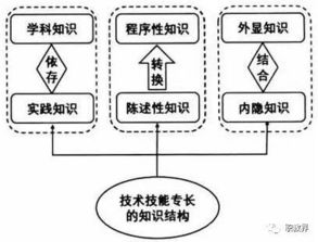 技能专长
