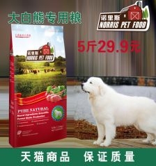 梦见大白狗