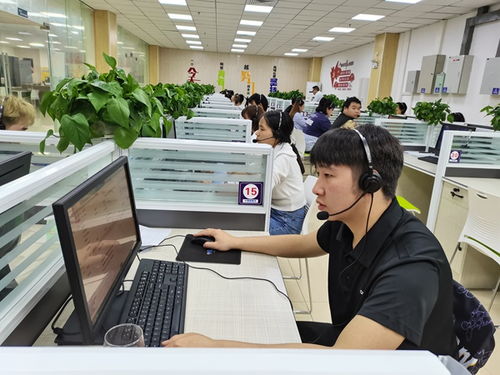 学什么技术可以自己创业