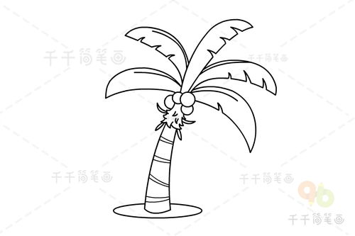 椰子树怎么画
