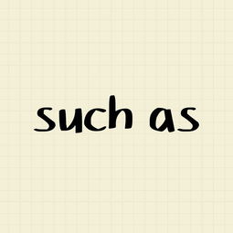 such as的词性