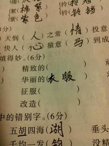 什么的林海填词语
