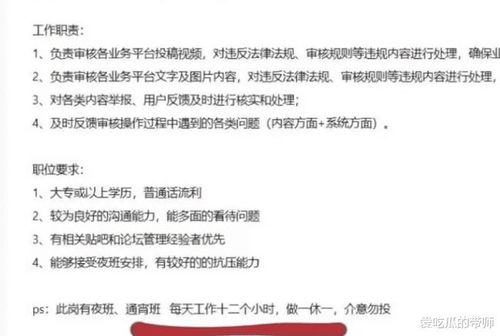 审核员是做什么的
