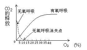 有氧呼吸和无氧呼吸的区别
