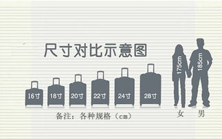24寸是多少厘米长宽