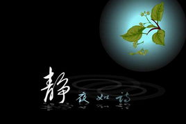 郭沫若《静夜》的原文是什么?