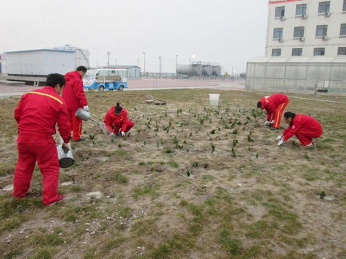 海中绿洲猜一城市名