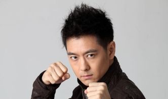 形容男生很帅的词语