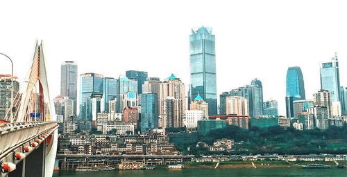 北京到哈尔滨
