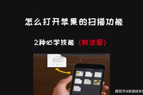 苹果扫描
