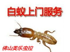 佛山市颢源白蚁防治有限公司怎么样?