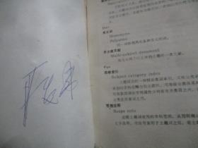 论文格式怎么写