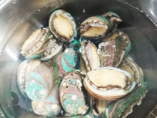 鲍鱼蒸多长时间
