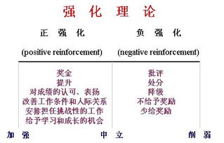 正强化
