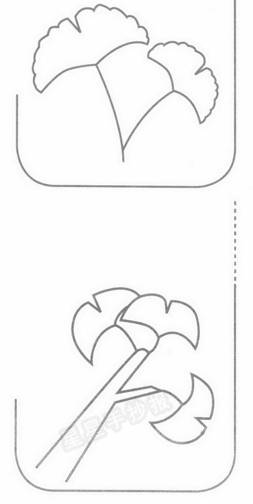 银杏树怎么画
