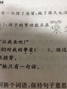 慰藉的近义词。