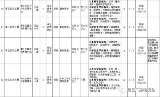 大专能进哪些事业单位

