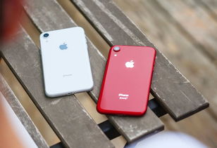 IPhone 8plus和IPhone xr哪个更好?从各个方面麻烦大家参考一下?_百 