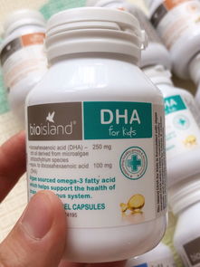 什么是dha
