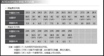255是多少码