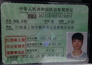 b照怎么考
