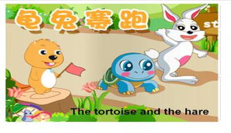 龟兔赛跑英语怎么说?