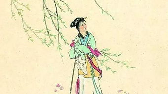 赞美女人的成语有哪些