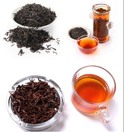 红茶属于什么茶?
