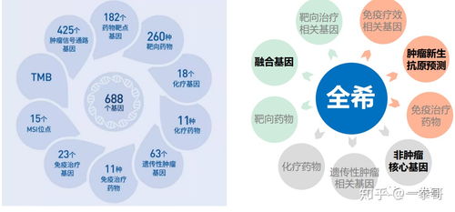 国家认可的基因检测机构有哪几家?