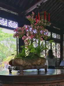四大名园是哪四个