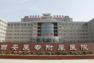 西安有哪些专科学院?