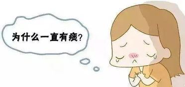 痰多是怎么回事
