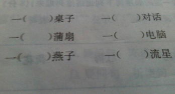 量词怎么写