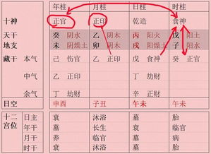 地支六合是什么意思?L