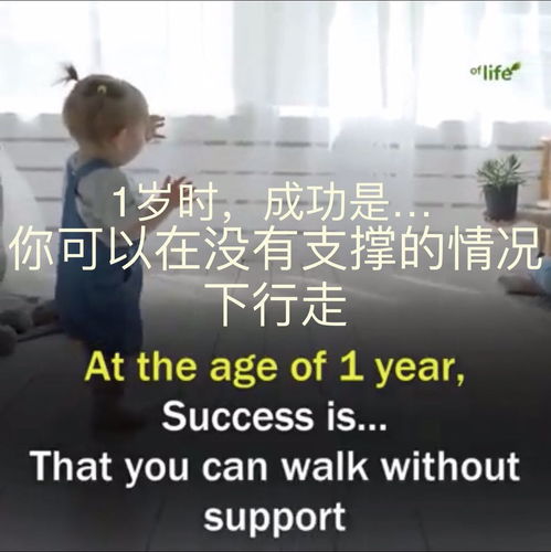 生活是什么意思?