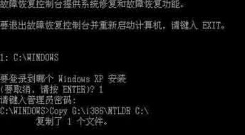 missing是什么意思
