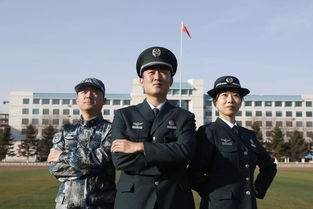 文职类的工作有哪些?